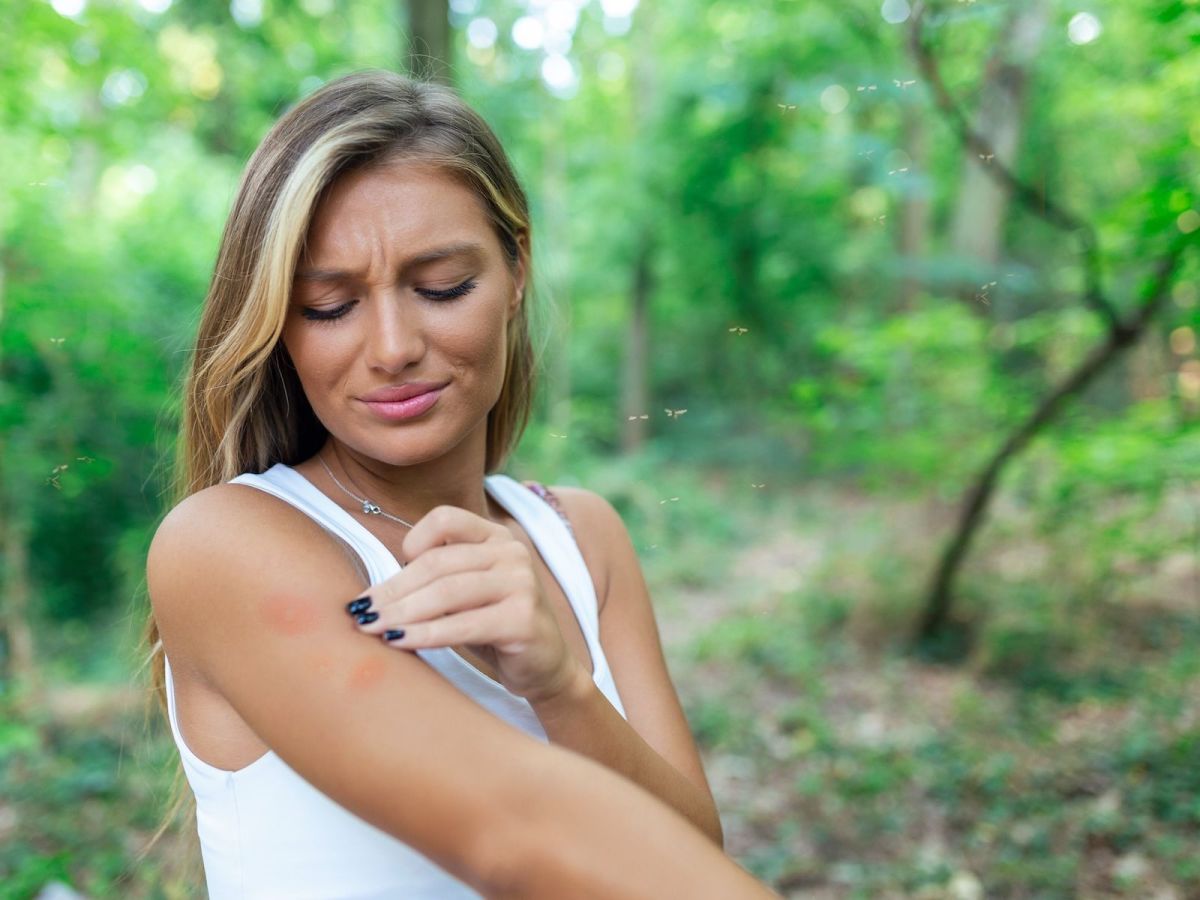 Protection contre les moustiques