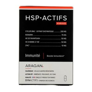 Synactifs HSP Actifs  10 gélules