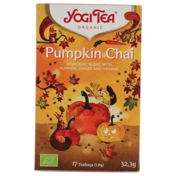 Pumpkin Chaï Bio 17 Sachets